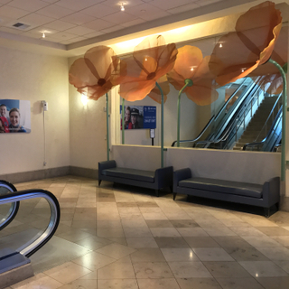 United Lounge, SFO International Terminal