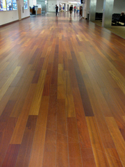 20090807
