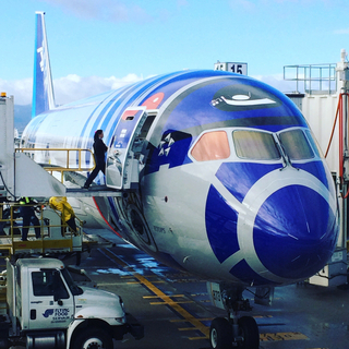 ANA Boeing 787-9 R2D2 Jet at SJC