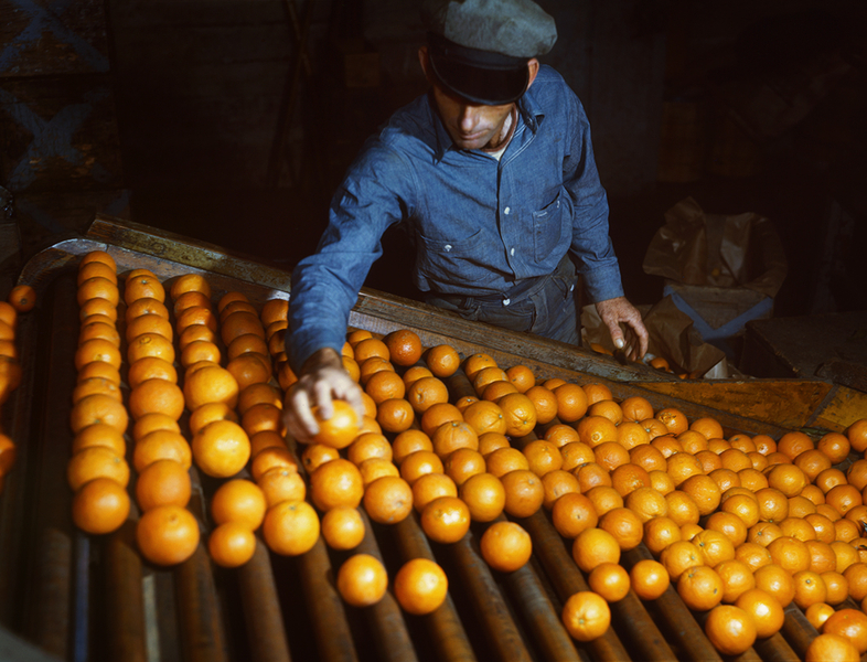 Image: Installation view of "America in Color: 1940-1943"