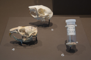 Image: Installation view of "I Love You California: A Natural History"