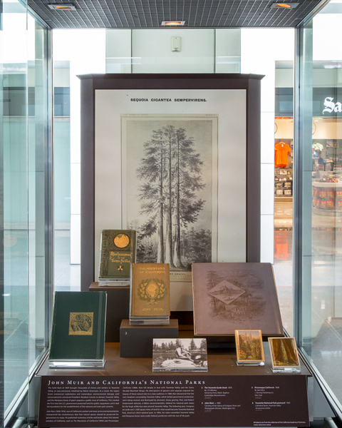 Image: Installation view of "I Love You California: A Natural History"