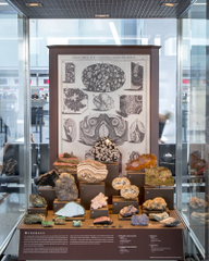 Image: Installation view of "I Love You California: A Natural History"