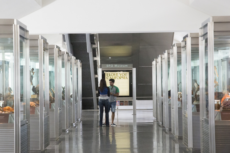 Image: Installation view of "I Love You California: A Natural History"