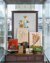 Image: Installation view of "I Love You California: A Natural History"