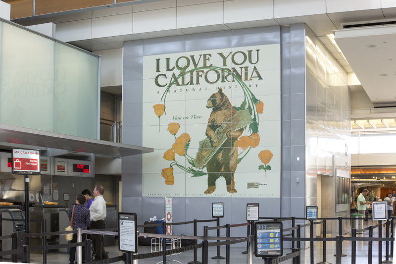 Image: Installation view of "I Love You California: A Natural History"