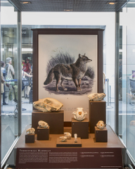 Image: Installation view of "I Love You California: A Natural History"