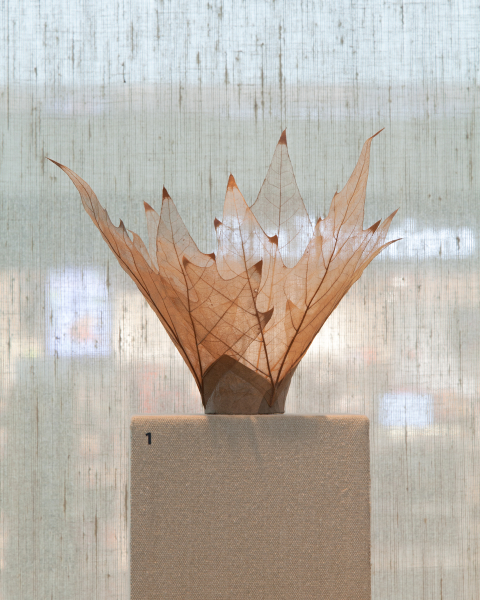Image: Installation view of "Turn, Weave, Fire and Fold: Vessels from the Forrest L. Merrill Collection"