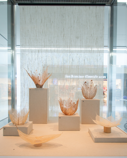 Image: Installation view of "Turn, Weave, Fire and Fold: Vessels from the Forrest L. Merrill Collection"