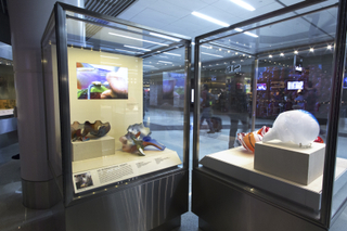 Image: Installation view of "Studio Glass, The Art of Marvin Lipofsky, Richard Marquis, John Lewis and Elin Christopherson"