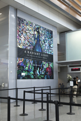 Image: Installation view of "A Radiant Light: The Artistry of Louis C. Tiffany"