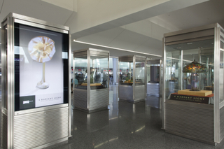 Image: Installation view of "A Radiant Light: The Artistry of Louis C. Tiffany"