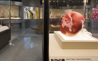 Image: Installation view of "Studio Glass, The Art of Marvin Lipofsky, Richard Marquis, John Lewis and Elin Christopherson"