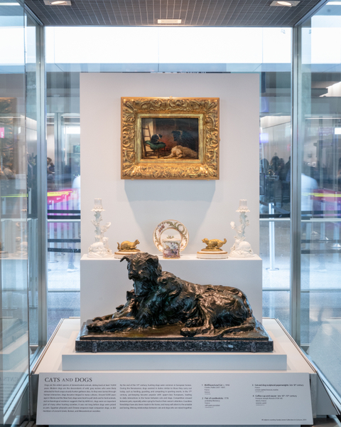 Image: Installation view of "Caticons: The Cat in Art"