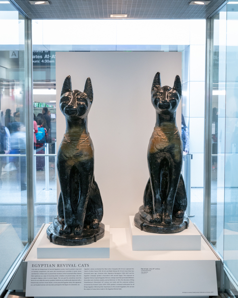 Image: Installation view of "Caticons: The Cat in Art"