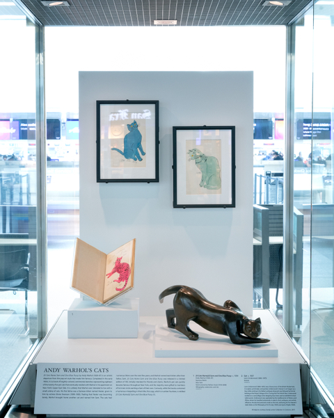 Image: Installation view of "Caticons: The Cat in Art"