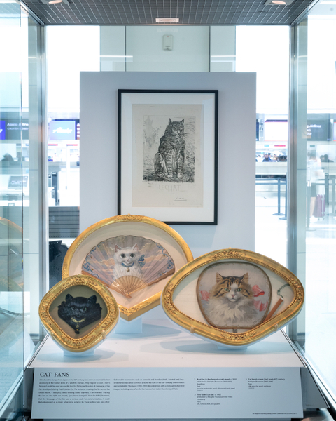 Image: Installation view of "Caticons"