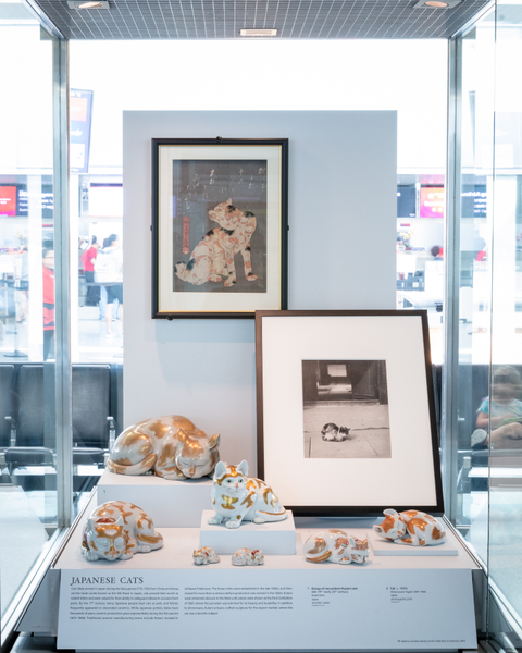Image: Installation view of "Caticons"
