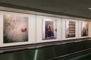 Installation view of "The Art of Recology: The Artist in Residence Program 1990-2013"