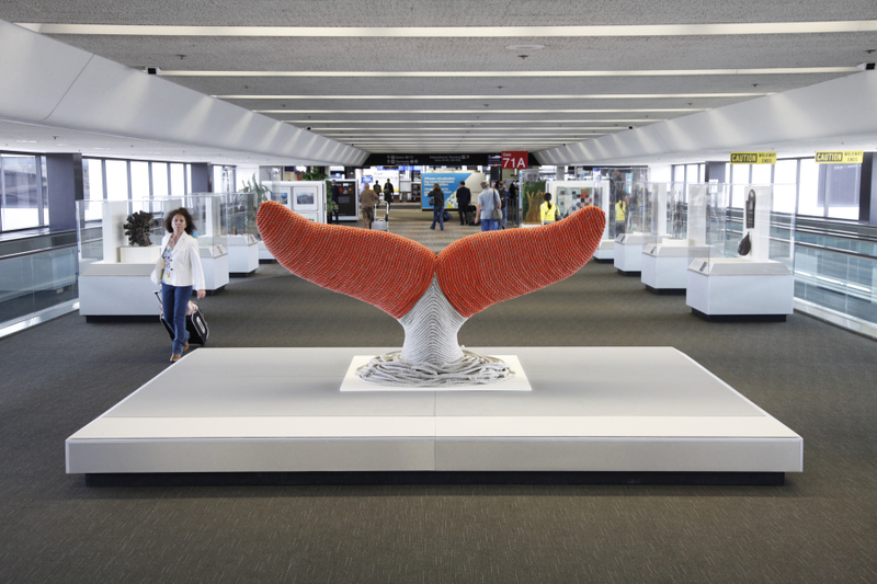 Image: Installation view of "The Art of Recology: The Artist in Residence Program 1990-2013"