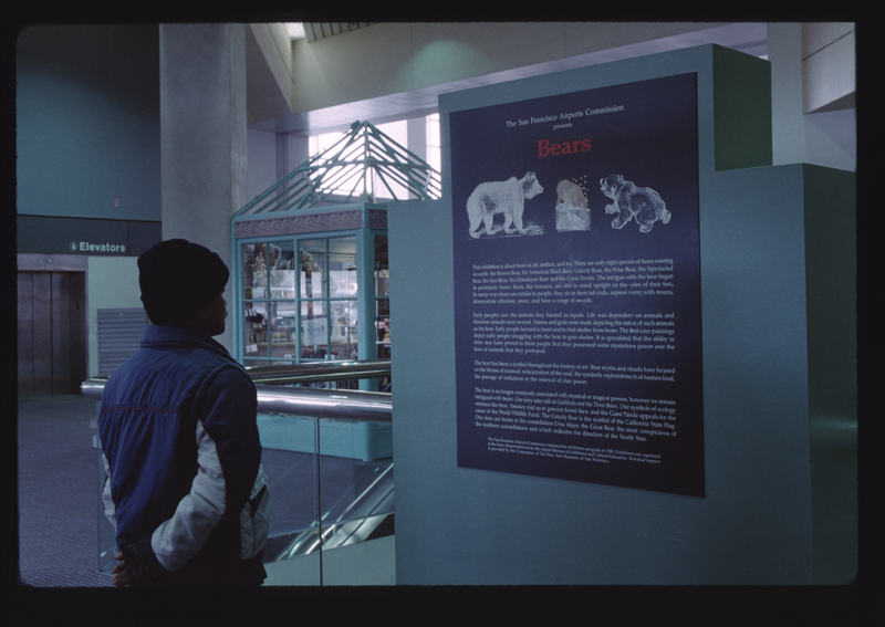 Image: Installation view of "B is for Bears"