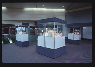 Image: Installation view of "B is for Bears"