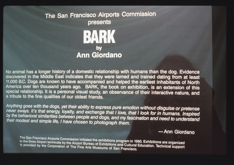 Image: Installation view of "Bark: Photographs by Ann Giordano"
