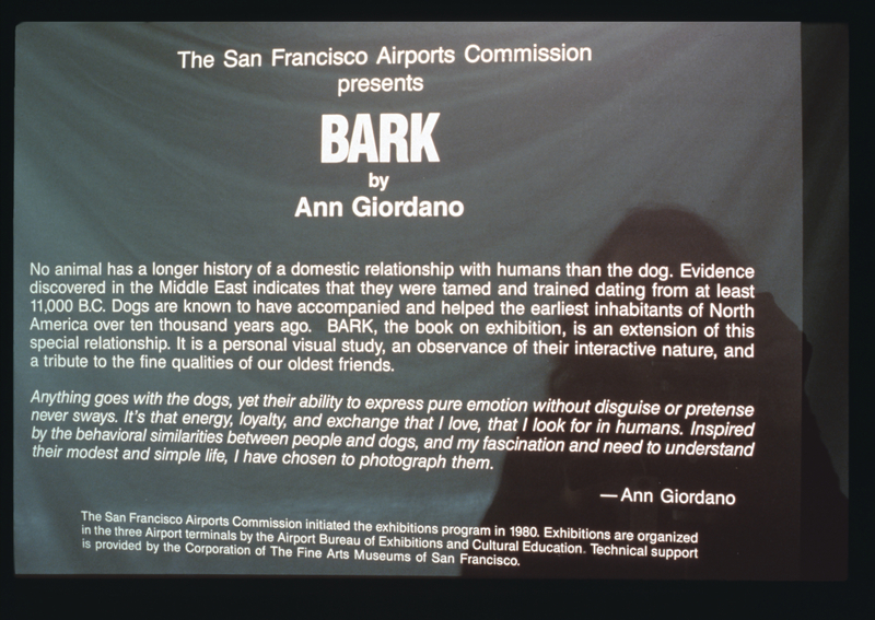 Image: Installation view of "Bark: Photographs by Ann Giordano"
