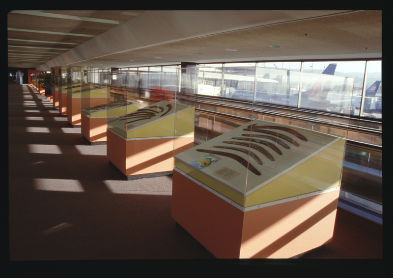 Image: Installation view of "Boomerang"