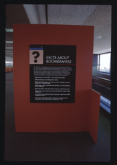 Image: Installation view of "Boomerang"