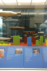 Image: Installation view of "Young Eyes on the Skies: The Golden Age of Aviation Toys"