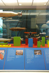 Image: Installation view of "Young Eyes on the Skies: The Golden Age of Aviation Toys"
