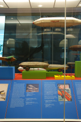 Image: Installation view of "Young Eyes on the Skies: The Golden Age of Aviation Toys"