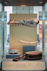 Image: Installation view of "American Folk Art: An Enduring Legacy"