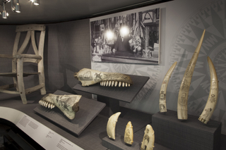 Image: Installation view of "From Ship to Shore: Nautical Arts from the San Francisco Maritime National Historic Park"