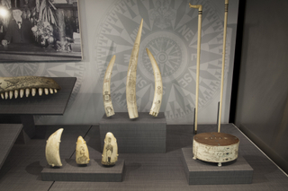 Image: Installation view of "From Ship to Shore: Nautical Arts from the San Francisco Maritime National Historic Park"