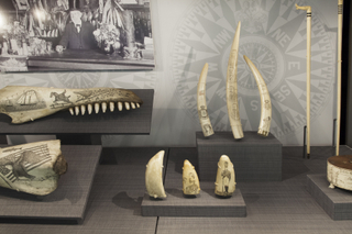 Image: Installation view of "From Ship to Shore: Nautical Arts from the San Francisco Maritime National Historic Park"