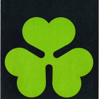 Image #3: ticket jacket: Aer Lingus