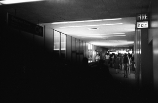 Image: negative: San Francisco International Airport (SFO), terminal interior