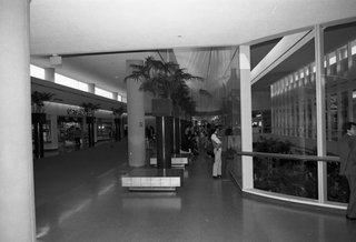 Image: negative: San Francisco International Airport (SFO), Central Terminal interior