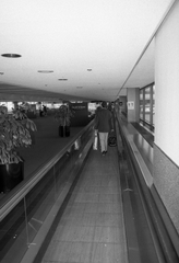 negative: San Francisco International Airport (SFO), North Terminal interior