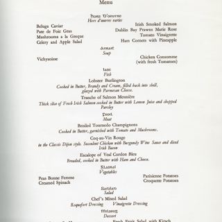 Image #2: menu: Aer Lingus