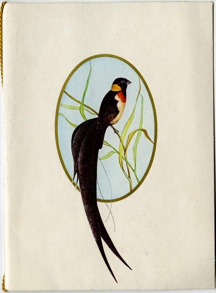 Image: menu: South African Airways