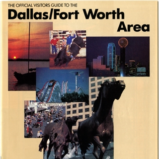 Image #8: airport information: Dallas / Fort Worth International Airport