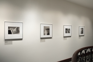 Image: Installation view of "Above the Bay: The Aerial Photography of Stanley Page"