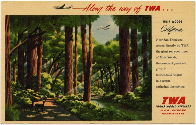 Postcard: TWA (Trans World Airlines), Lockheed L-049 Constellation