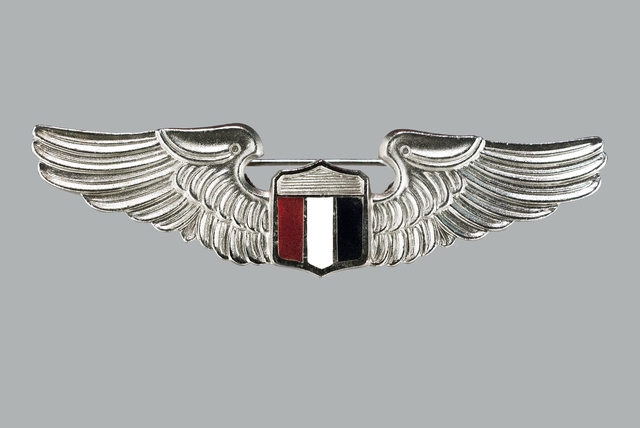 Military uniform wings
