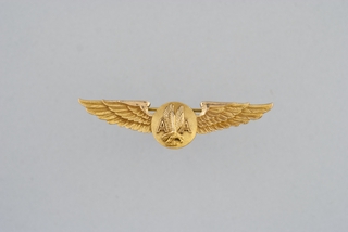 Image: stewardess wings/service pin: American Airlines, 5 year