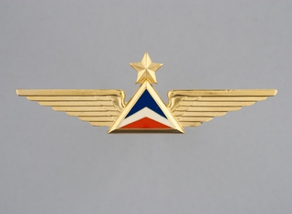 flight officer wings: Delta Air Lines
