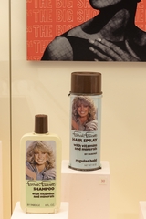 Image: Installation view of "Hair Style"